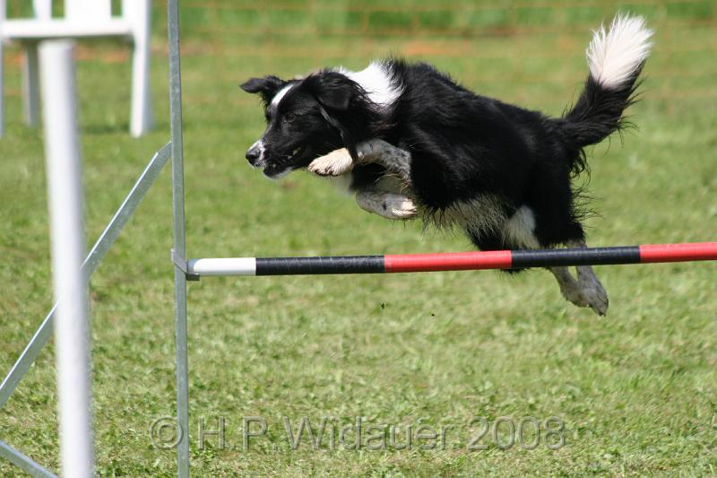 jubil.lusten. 310.jpg